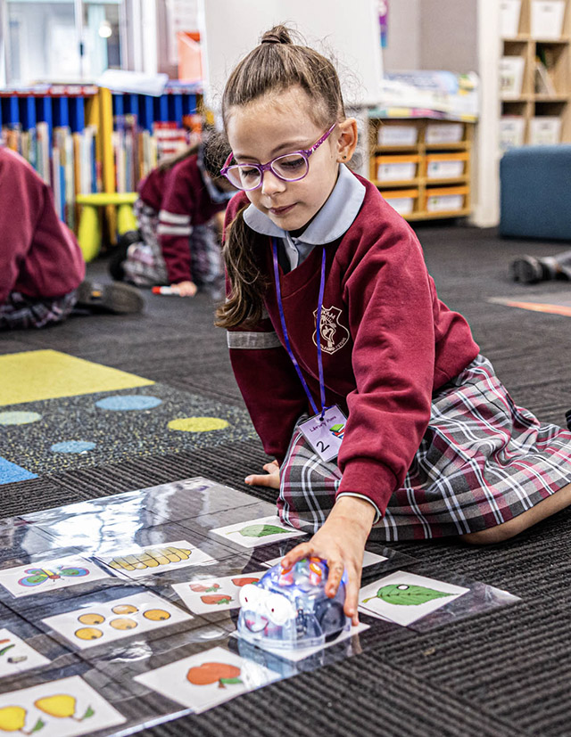 Chisholm Catholic Primary Bligh Park