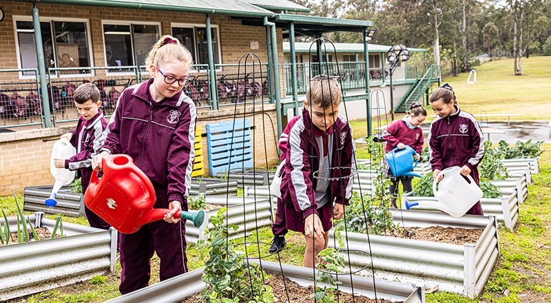 Gardening Group Chisholm Catholic Primary Bligh Park