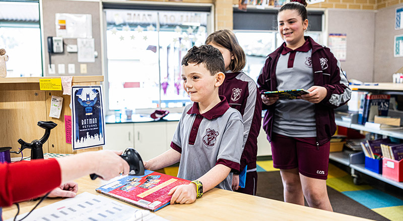 Chisholm Catholic Primary Bligh Park Library Support