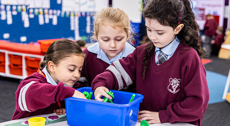 Chisholm Catholic Primary Bligh Park