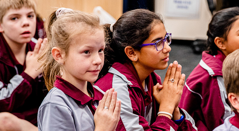 Chisholm Catholic Primary Bligh Park