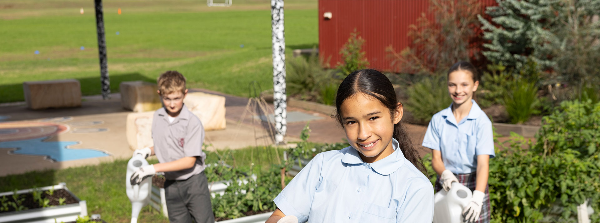 Chisholm Primary Bligh Park students gardening