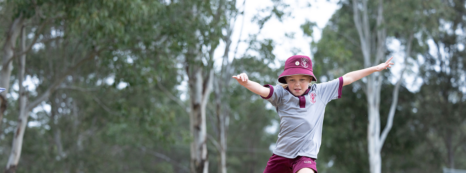 Learning and teaching excellence at Chisholm Catholic Primary, Bligh Park
