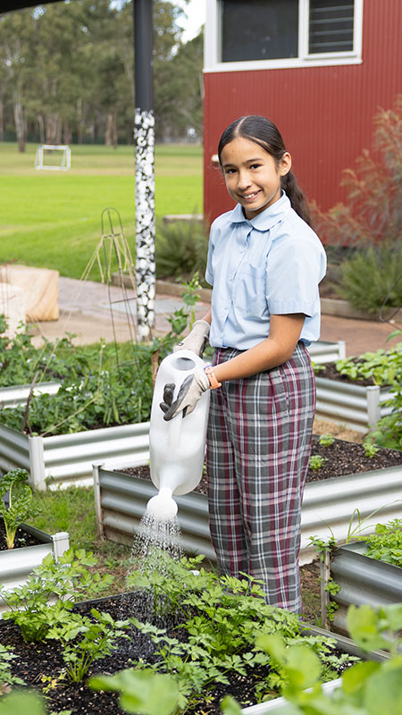 Chisholm Bligh Park offers extracurricular opportunities