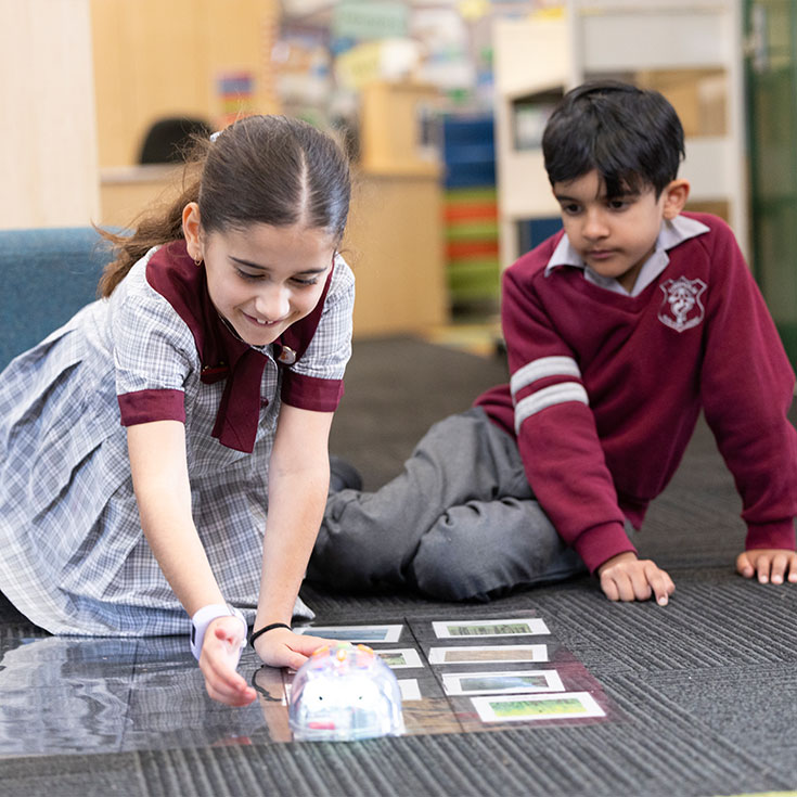 Sport at Chisholm Catholic Primary Bligh Park