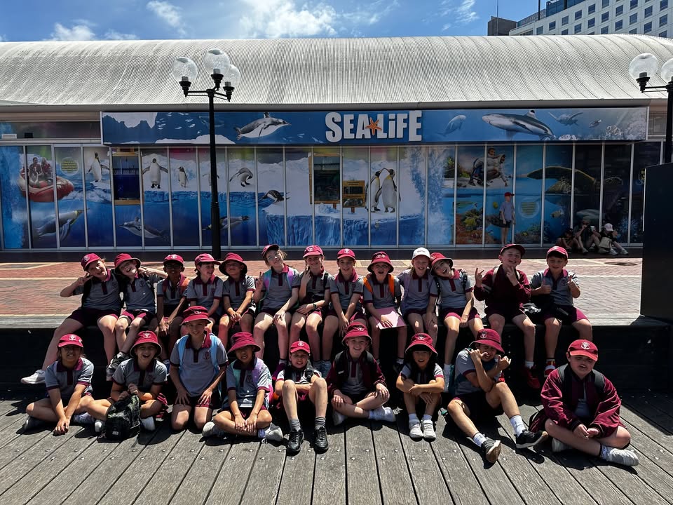 627438719387372_1431886115609291-1