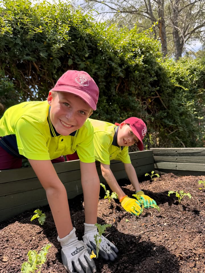 627438719387372_1512492327548669-1