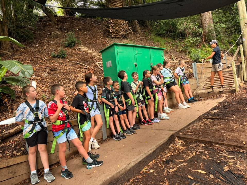 627438719387372_1532095288921706-1