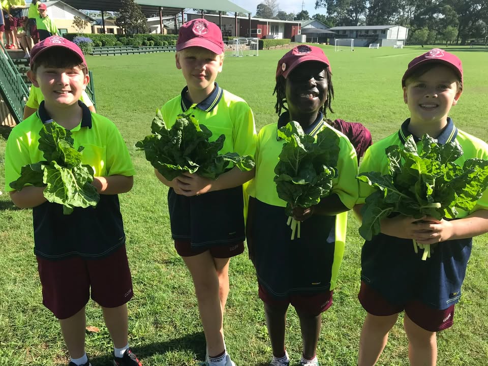 627438719387372_1539622898168945-1