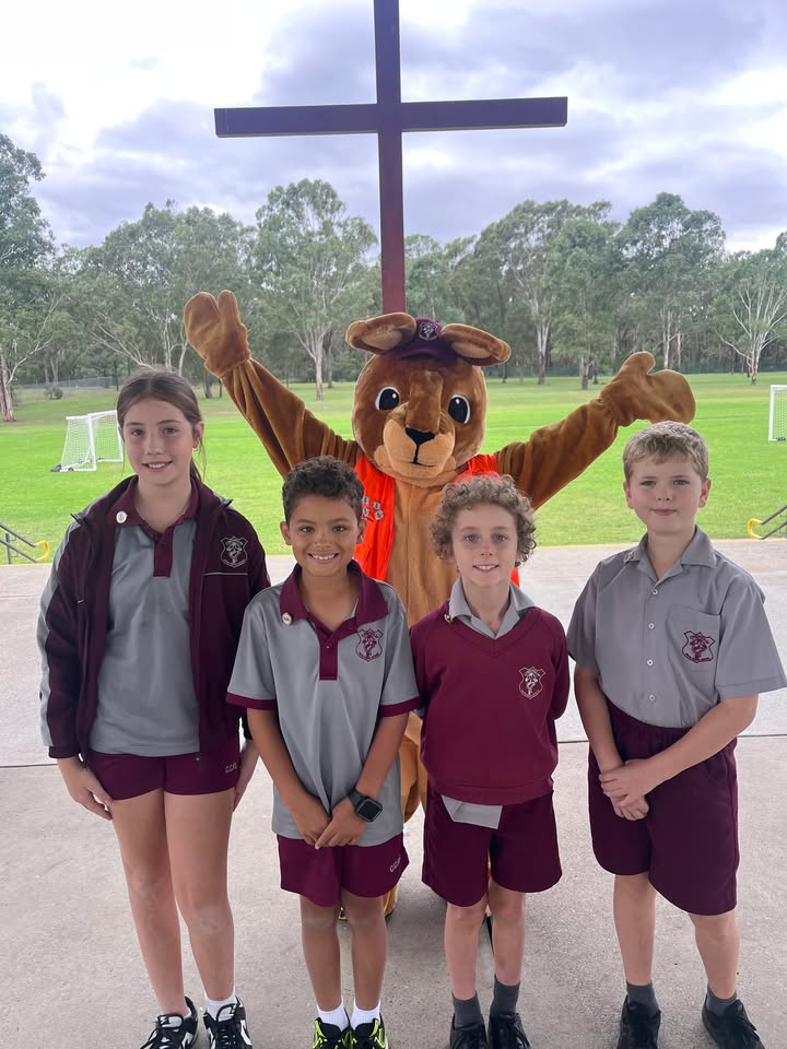 627438719387372_1552100563587845-1