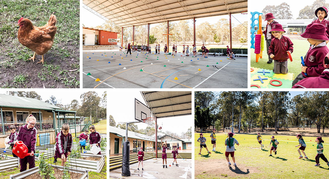 Outdoor Spaces at Chisholm Catholic Primary Bligh Park